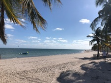 Enlarge photo 49