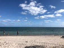 Enlarge photo 51