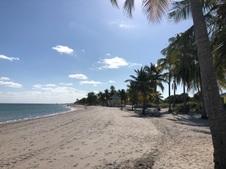 Enlarge photo 52