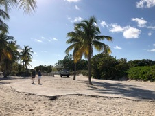Enlarge photo 66