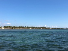 Enlarge photo 79