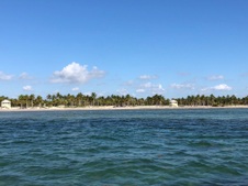 Enlarge photo 80