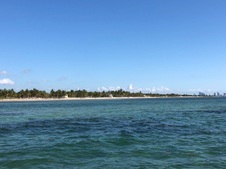Enlarge photo 81