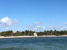 Enlarge photo 72
