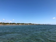 Enlarge photo 83