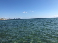 Enlarge photo 84