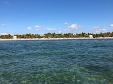 Enlarge photo 74