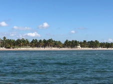 Enlarge photo 76