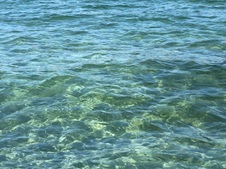 Enlarge photo 85