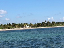 Enlarge photo 88