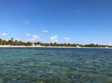 Enlarge photo 91