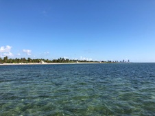 Enlarge photo 86