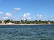 Enlarge photo 92