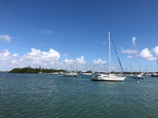 Enlarge photo 94