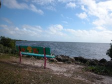 Enlarge photo 25