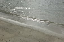 Enlarge photo 37