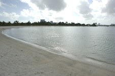 Enlarge photo 38