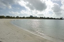 Enlarge photo 39
