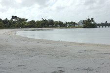 Enlarge photo 41