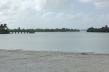 Enlarge photo 42