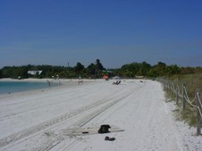 Enlarge photo 44