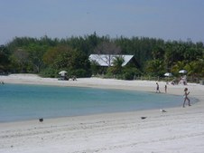 Enlarge photo 45
