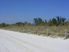 Enlarge photo 46