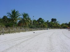 Enlarge photo 47
