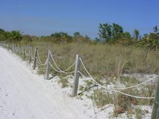Enlarge photo 48
