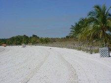 Enlarge photo 49