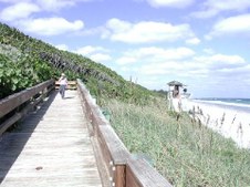 BEACHES - North