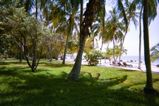 Enlarge photo 20