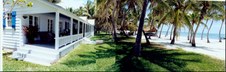 Enlarge photo 28