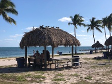 Enlarge photo 24