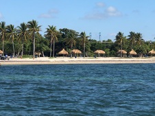 Enlarge photo 43