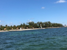 Enlarge photo 49