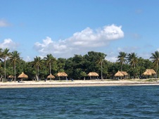 Enlarge photo 39