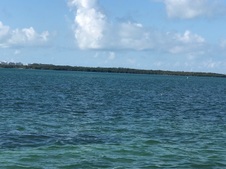 Enlarge photo 53