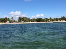 Enlarge photo 54
