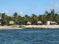 Enlarge photo 41