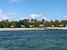 Enlarge photo 30