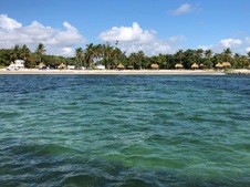 Enlarge photo 32