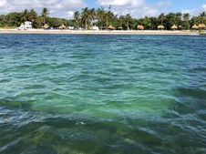 Enlarge photo 33