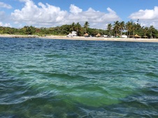Enlarge photo 34