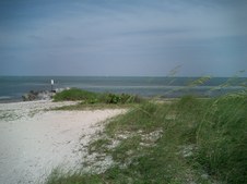 Enlarge photo 63