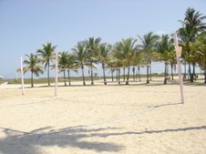 BEACH VOLLEYBALL