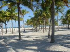 Enlarge photo 77