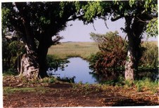 Enlarge photo 37