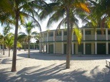 Enlarge photo 74