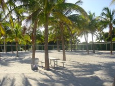Enlarge photo 75